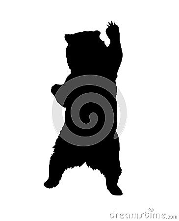 Standing bear silhouette Stock Photo