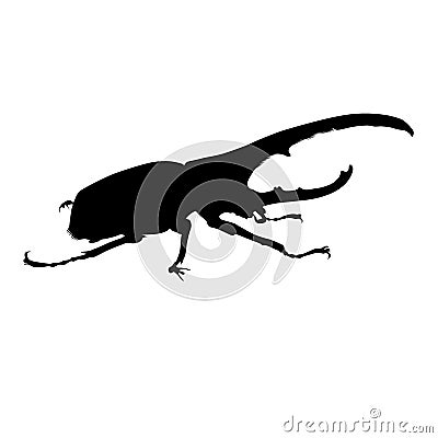 Standing Beetle Bug, Coleoptera, Around The World Vector Illustration