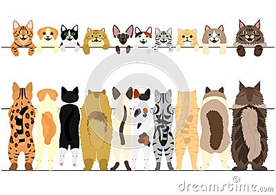 Standing cats front and back border set Vector Illustration