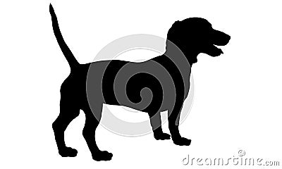 Standing dachshund puppy. Black dog silhouette. Wiener dog or sausage dog. Pet animals. Isolated on a white background Vector Illustration