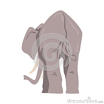 Standing Elephant as Large African Animal with Trunk, Tusks, Ear Flaps and Massive Legs Back View Vector Illustration Vector Illustration