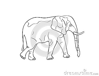 Standing Elephant Sketch. Black White Vector Illustration