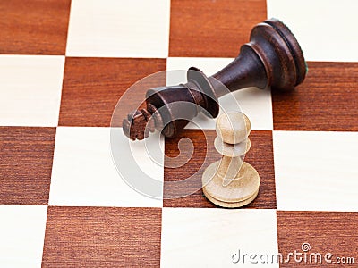Standing and fallen chess king and pawn Stock Photo