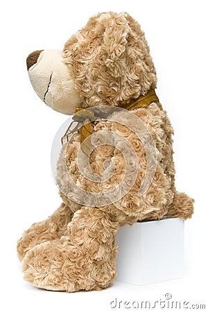 Standing fluffy brown teddy bear from side Stock Photo