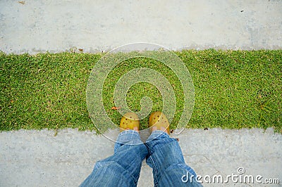 Standing on the grass and cement path Stock Photo