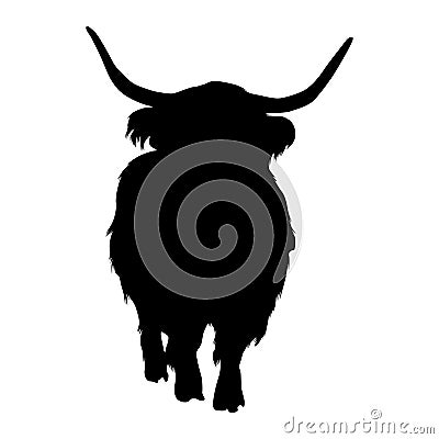 Standing Highland Cattle On a Front View Silhouette Found In Scottish Highlands Vector Illustration
