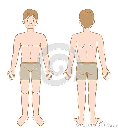 Standing male body. beauty and healthy lifestyle concept Vector Illustration
