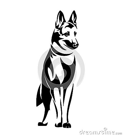 Standing malinois shepherd dog black and white vector outline Vector Illustration