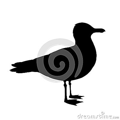 Standing seagull silhouette. Vector illustration in monochrome style on white background. Element for your design. Bird Vector Illustration