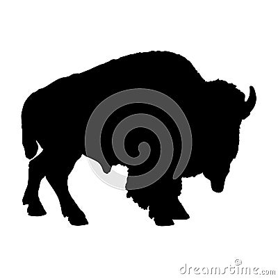 Standing On a Side View American Bison, Bison Bison, Silhouette, Africa, Asia And North America Vector Illustration