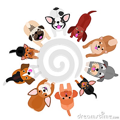 Standing small dogs looking up in circle Vector Illustration