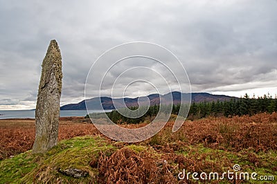 Standing stone and field Stock Photo