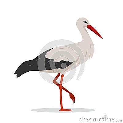 Standing Stork bird isolated on white background. Vector Illustration