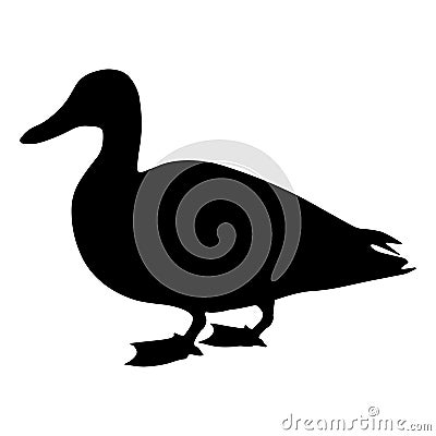 Standing wild duck. Silhouette. Vector illustration isolated on a white background Vector Illustration