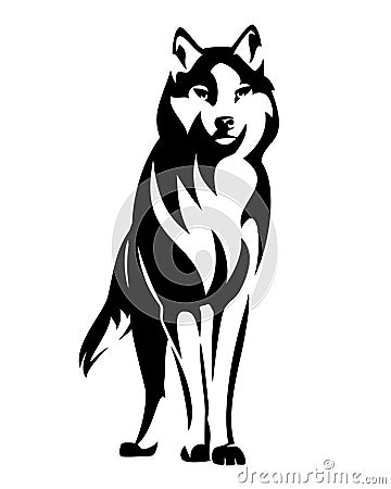 Standing wild wolf black and white vector design Vector Illustration