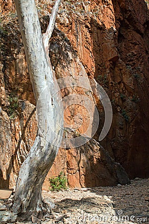 Australia, Standley Chasm, West Mac Donnell National Park Stock Photo