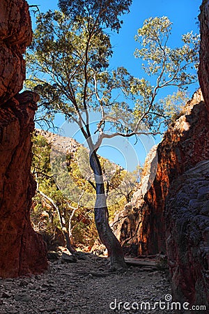 Standley Chasm, Northern Territory, Australia Stock Photo