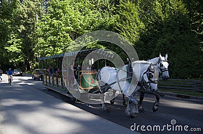 Stanley Park horse carriage riding Editorial Stock Photo