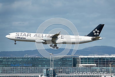 Star Alliance long haul aircraft landing in Frankfurt Airport Editorial Stock Photo