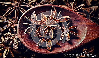 Star anise, dark food photo, spice, flavor, seasoning, wooden spoon, rustic, dark, brown, blurred, close-up, vintage Stock Photo