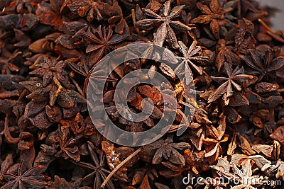 star anise, Illicium verum is a medium-sized evergreen tree native to northeast Vietnam and South China, star shaped spices Stock Photo