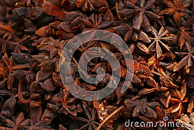 star anise, Illicium verum is a medium-sized evergreen tree native to northeast Vietnam and South China spice Stock Photo