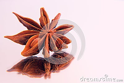 Star Anise lat. Illicium verum. Spice badyan Stock Photo