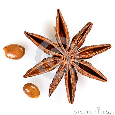 Star anise. Single star anise fruit with two seeds. Macro close up Isolated on white square background with shadow, top view of Stock Photo