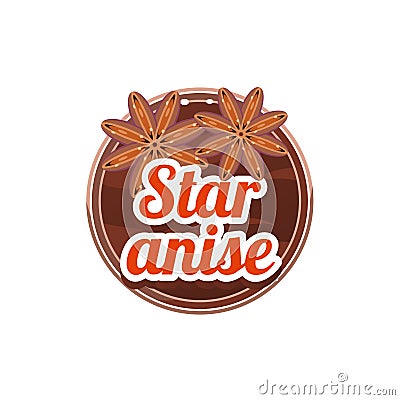 Star Anise Spice. Vector Illustration. Vector Illustration