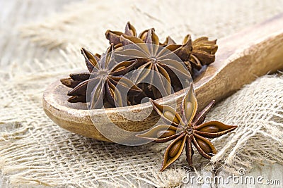 Star anise on wooden spoon Stock Photo