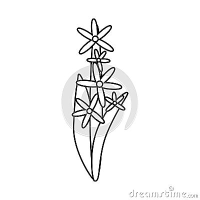 Star cluster flower ornament thin line Vector Illustration