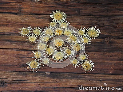 A star made of dryed flowers of silver Thistles - nice decorations on a pasture hut in the alps Stock Photo