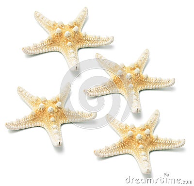 Star Fish Stock Photo