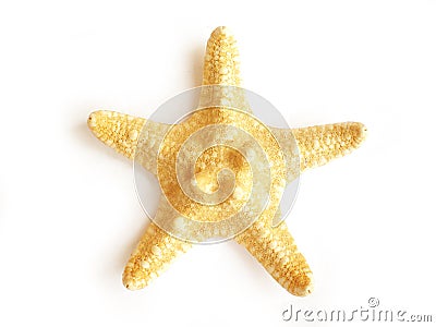 Star fish Stock Photo