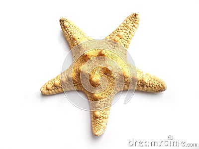 Star fish Stock Photo