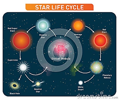 Star life cycle steps from stellar nebula to red giant to black hole. Vector illustration diagram. Vector Illustration