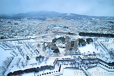 Star park in winter Stock Photo