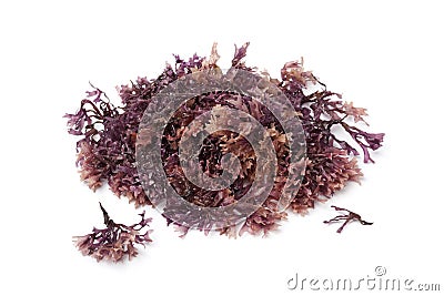 Star shaped moss seaweed Stock Photo