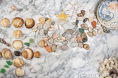 Star, stones and shells lying on a marble background, composition of sea stones and seashells, marine composition, composition of Stock Photo