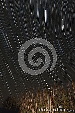 Star Trails in the night sky Stock Photo