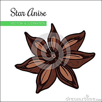 Staranise fill Vector Illustration