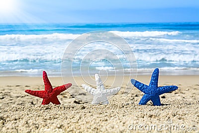 Starfish on beach during July fourth Stock Photo