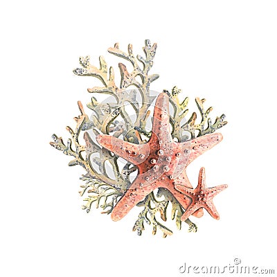 Starfish with corals, in restrained coral colors. Tropical marine composition. Watercolor illustration for the design of Cartoon Illustration