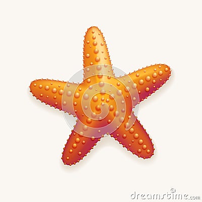 Starfish Vector Illustration