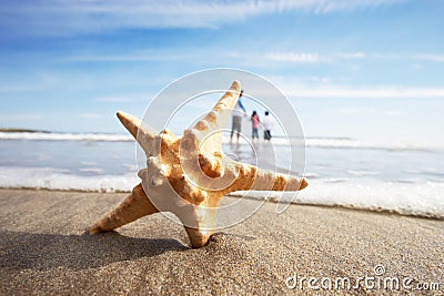 Starfish In Foreground As Father Plays With Children In Sea Stock Photo