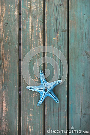 Starfish on a green benche Stock Photo