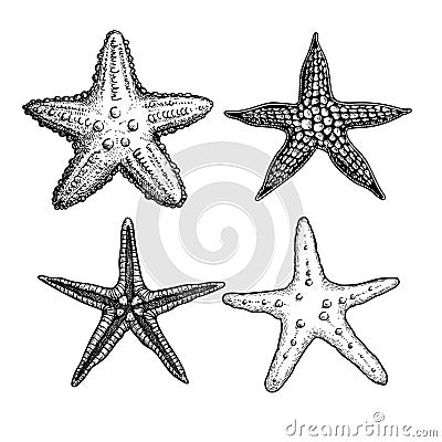 Starfish hand drawn sketch style set. Nature ocean aquatic underwater collection. Vector Illustration