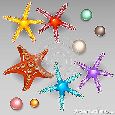 Starfish Vector Illustration