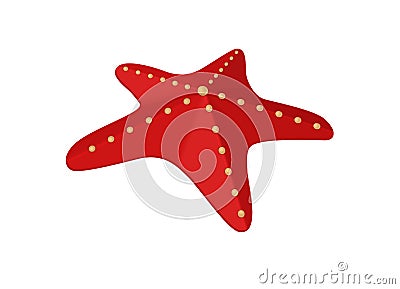 Starfish Vector Illustration