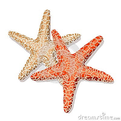 Starfish isolated on white background. Cartoon Illustration